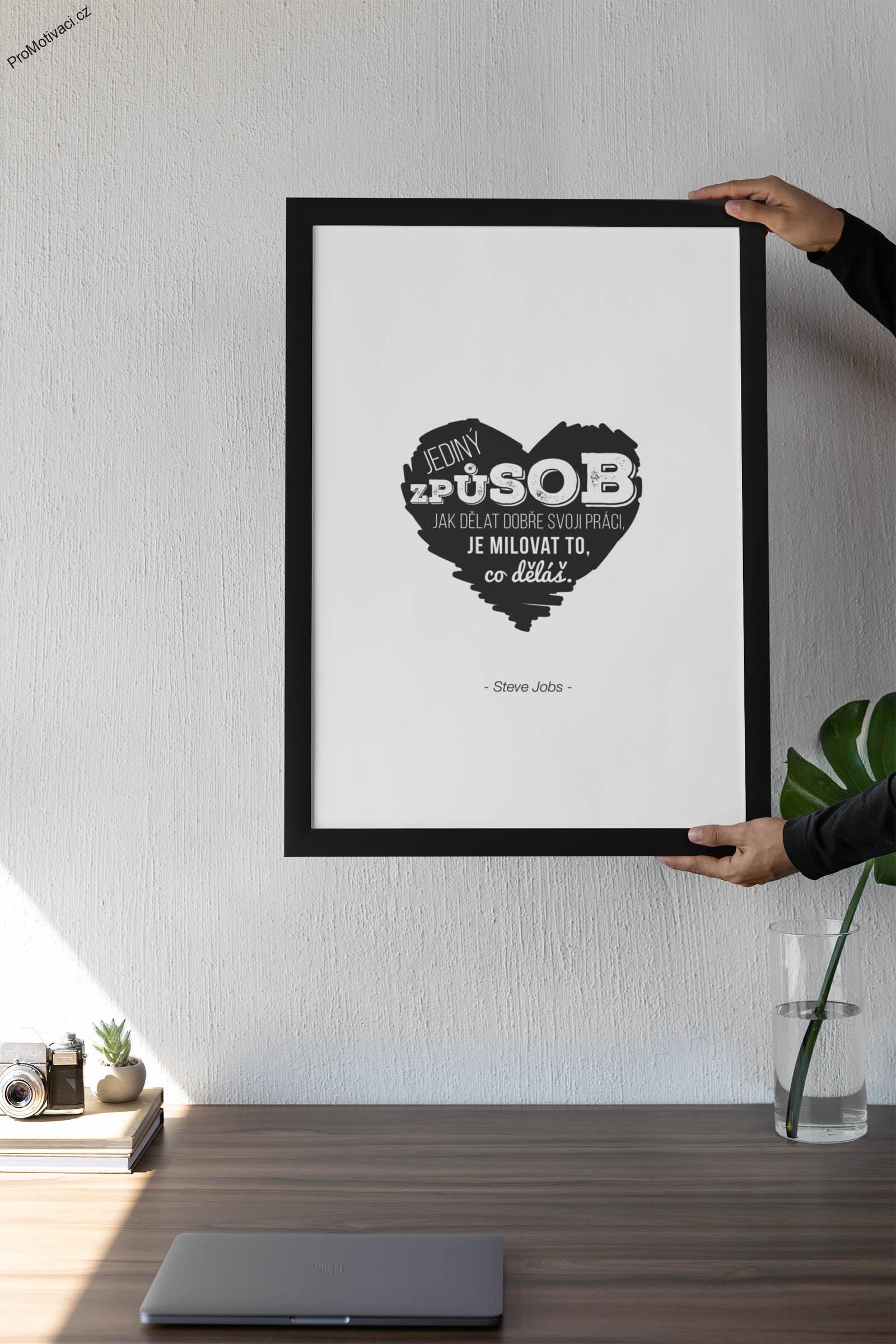 Jediný způsob, jak dělat dobře svoji práci, je milovat to, co děláš